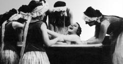 DIE AUSTERNPRINZESSIN